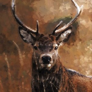 Animals Paintings