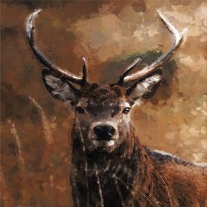 Animals Paintings