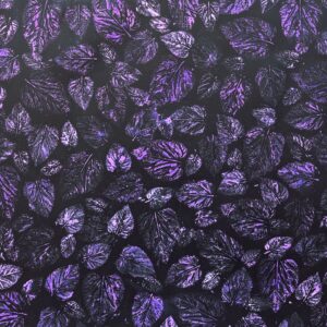 Echoes of a Quiet Storm